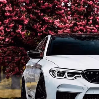BMW M5 white wallpaper