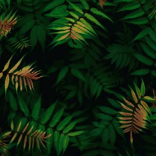 Green foliage wallpaper