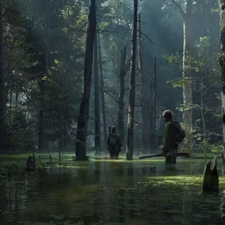 The Last of Us 8k wallpaper