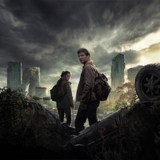 The Last of Us 8k wallpaper