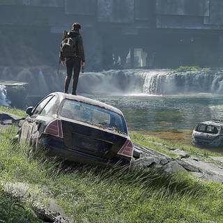 The Last of Us 8k wallpaper