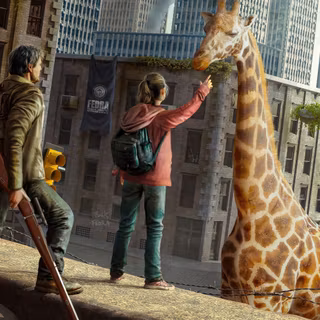 The Last of Us 8k wallpaper