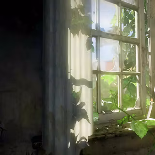 The Last of Us 8k wallpaper