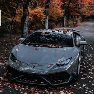 Lamborghini autumn wallpaper