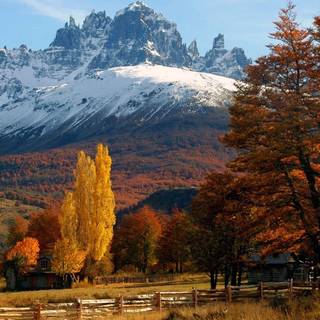 Autumn Patagonia wallpaper