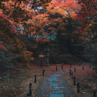 Anime autumn vertical wallpaper