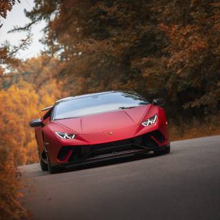 Lamborghini autumn wallpaper