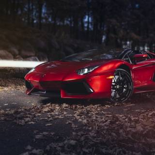 Lamborghini autumn wallpaper