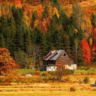 Autumn cabin view wallpaper