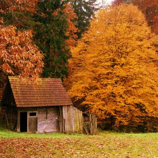 Autumn cabin view wallpaper