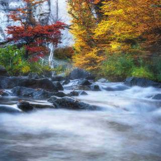 Autumn Patagonia wallpaper