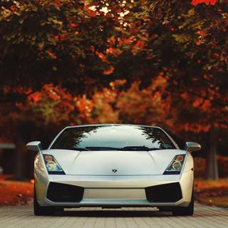 Lamborghini autumn wallpaper