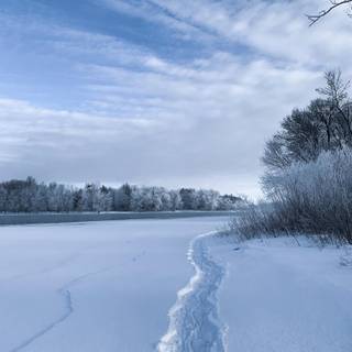 Winter Mississippi wallpaper