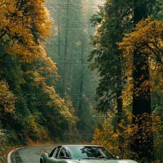 Lamborghini autumn wallpaper