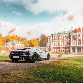 Lamborghini autumn wallpaper
