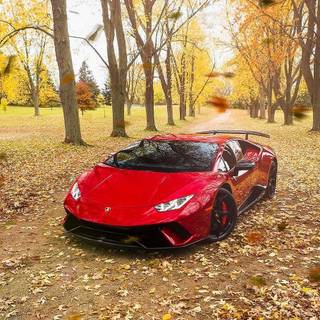 Lamborghini autumn wallpaper