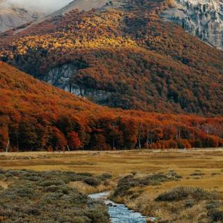 Autumn Patagonia wallpaper