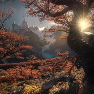 Autumn Patagonia wallpaper