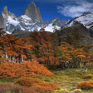 Autumn Patagonia wallpaper