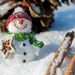 Snow Christmas New Year wallpaper