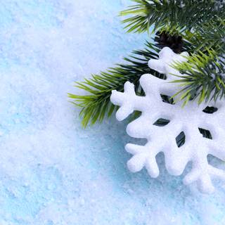 Snow Christmas New Year wallpaper