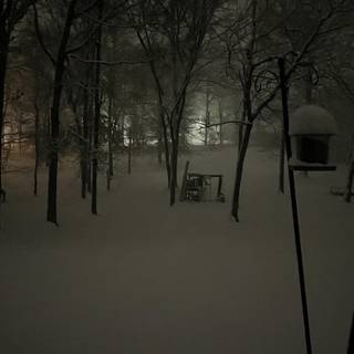 Winter Mississippi wallpaper