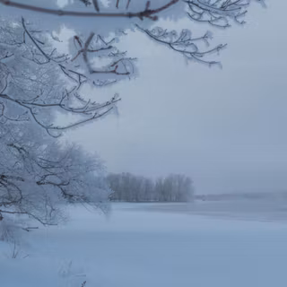 Winter Mississippi wallpaper