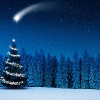 Snow Christmas New Year wallpaper