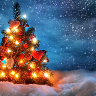 Christmas photography wallpaper