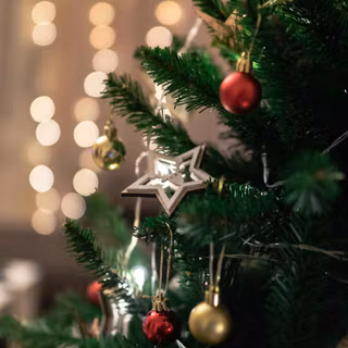 Christmas photography wallpaper