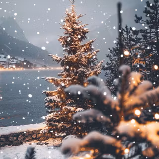 Christmas photography wallpaper