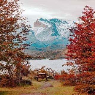 Autumn Patagonia wallpaper