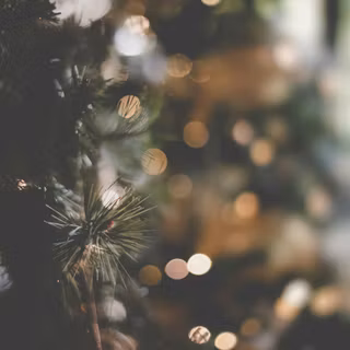 Christmas photography wallpaper