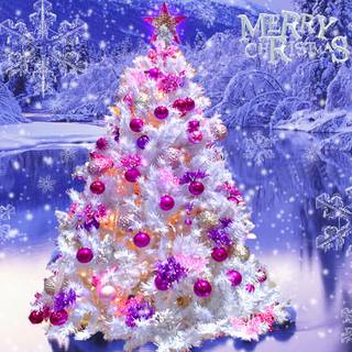 Christmas photography wallpaper