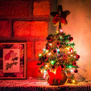 Christmas photography wallpaper