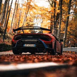 Lamborghini autumn wallpaper