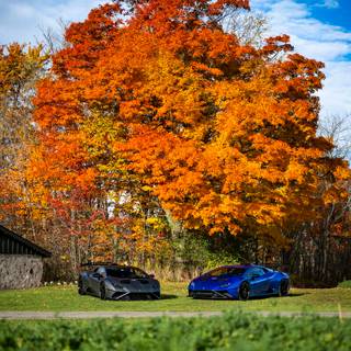 Lamborghini autumn wallpaper