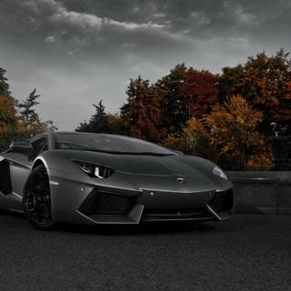 Lamborghini autumn wallpaper
