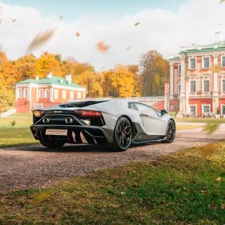 Lamborghini autumn wallpaper