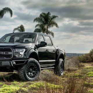 Black Ford F-150 Raptor wallpaper