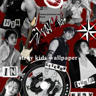Stray Kids PFP wallpaper