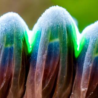 AI abstract wallpaper