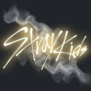 Stray Kids PFP wallpaper