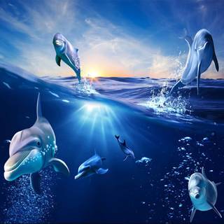 Blue dolphin wallpaper
