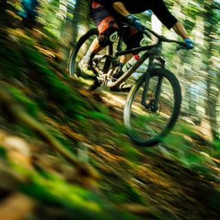 Mountain biker wallpaper