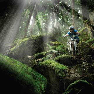 Mountain biker wallpaper