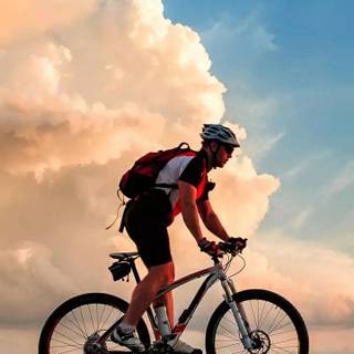 Mountain biker wallpaper