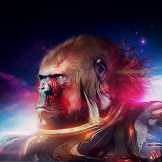 Scary monkey wallpaper