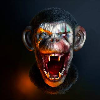 Scary monkey wallpaper