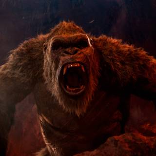 Scary monkey wallpaper